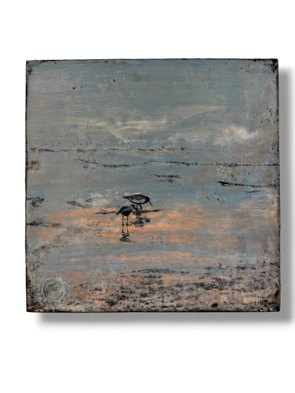 Oyster catchers