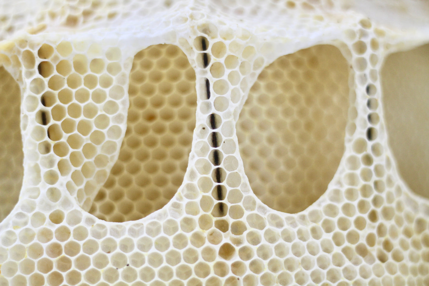 Beehive Honeycomb Sculpture