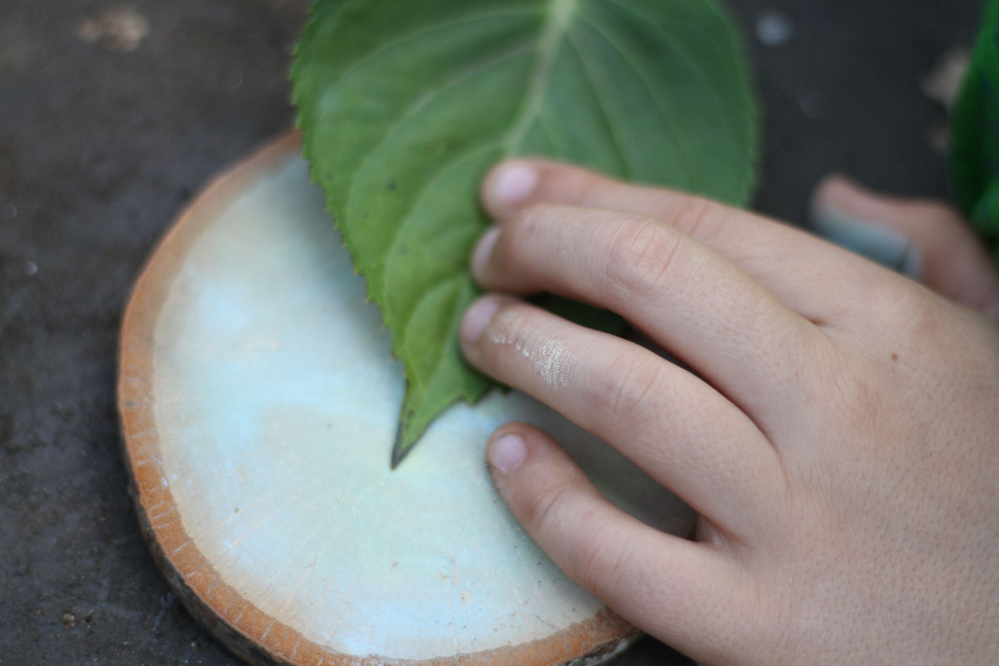Kapiti Arts Trail Encaustic Workshop - Make your own Botanical artwork from Beeswax - In Studio