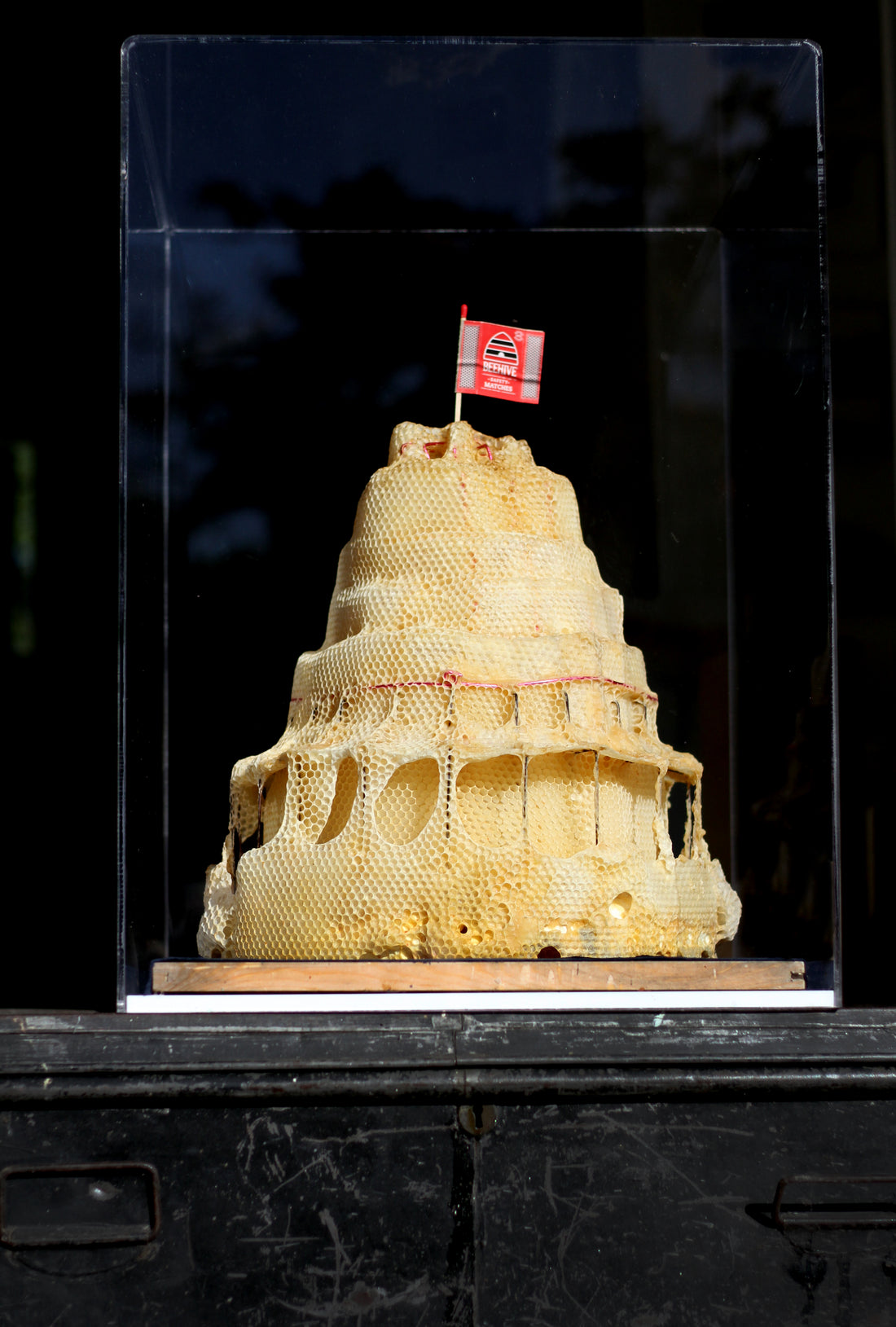 honeycomb sculpture New Zealand Beehive Executive wing Parliament beeswax Studio Reset Artist