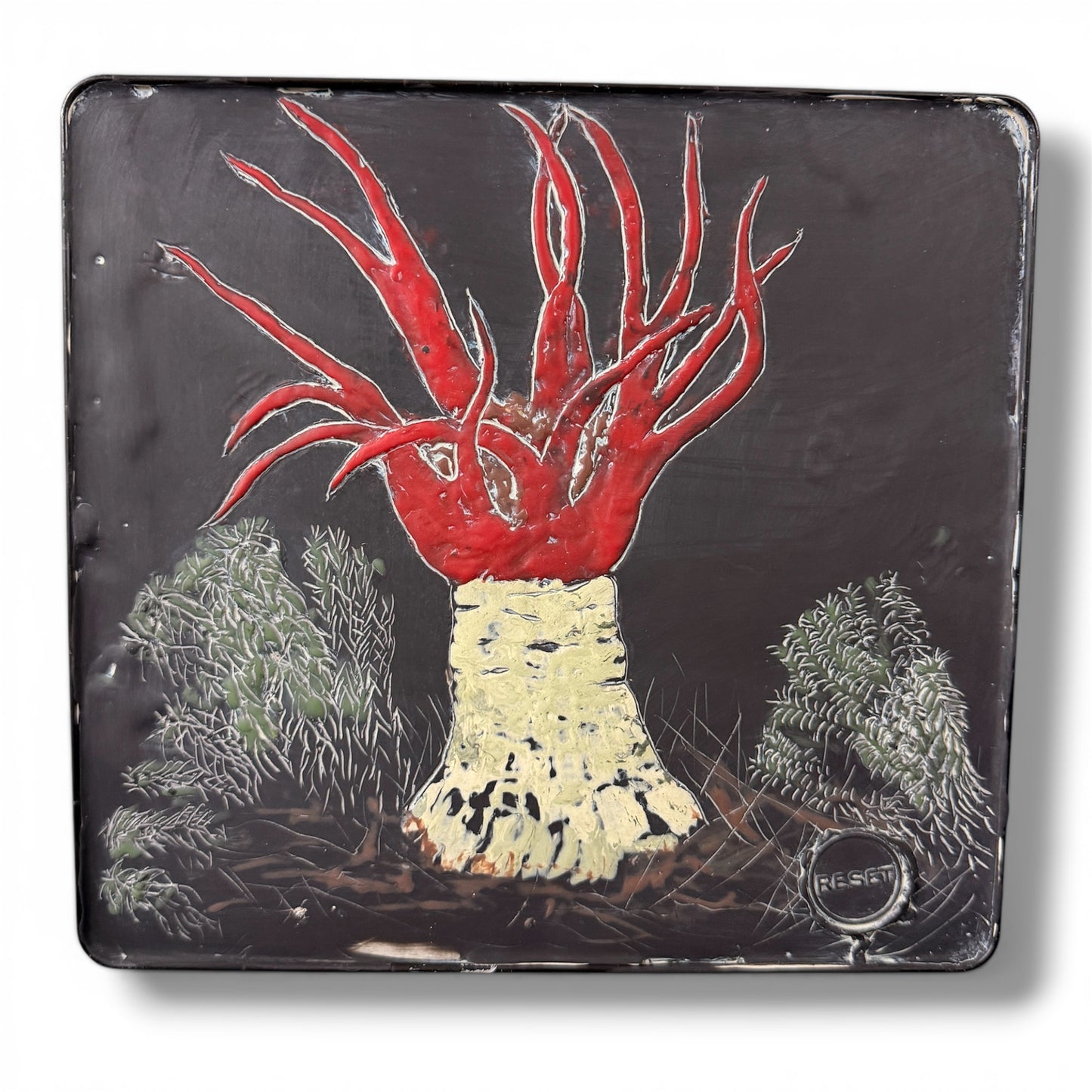 Mushroom 1