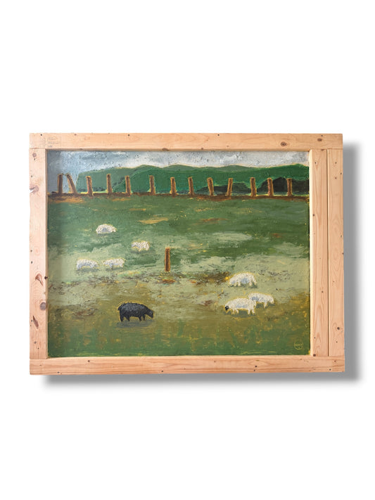Black Sheep