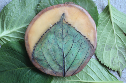 Kapiti Arts Trail Encaustic Workshop - Make your own Botanical artwork from Beeswax - In Studio